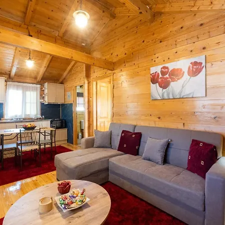 Wooden Dream דירה *